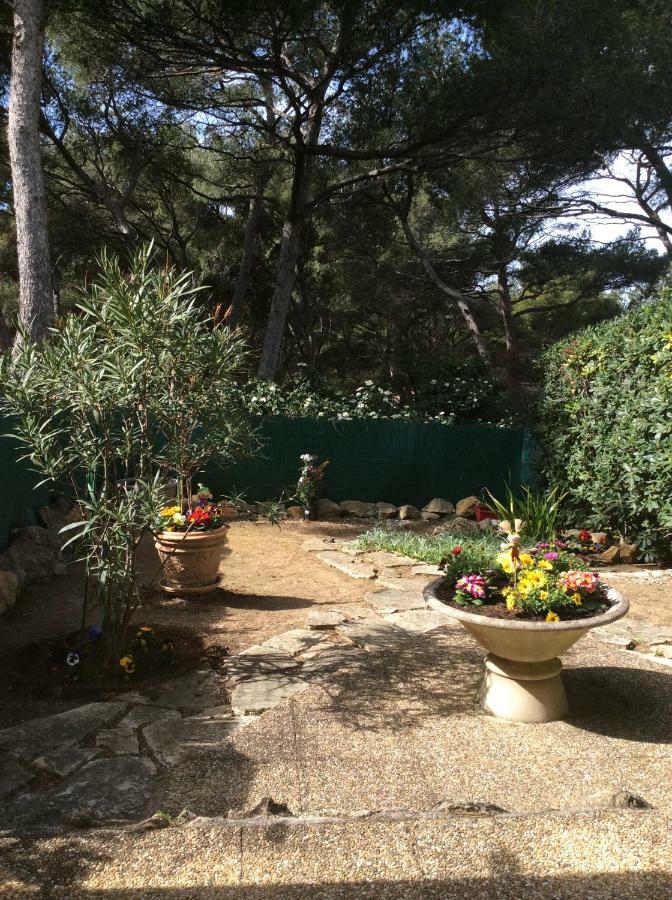 T2 Rez De Jardin 300M Plage De Beaucours Sanary Sur Mer מראה חיצוני תמונה